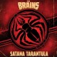 Brains-Satana Tarantula