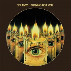 Strawbs-Burning For You