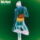 Bush-The Kingdom