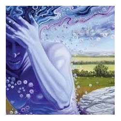 Kansas-Absence Of Presence