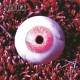 Anekdoten-Nucleus