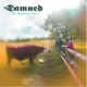 Damned-Rockfield Files