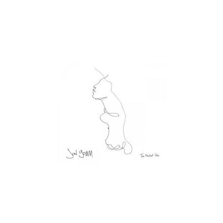 Jon Gomm-Faintest Idea