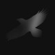 Sigur Ros-Odin's Raven Magic