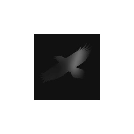 Sigur Ros-Odin's Raven Magic