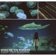 Bring Me The Horizon-Count Your Blessings