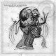 White Ward-Origins