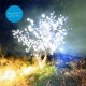 Notwist-Vertigo Days
