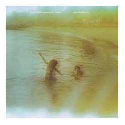 Clap Your Hands Say Yeah-New Fragility