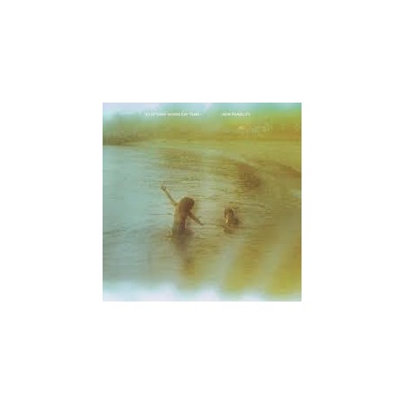 Clap Your Hands Say Yeah-New Fragility