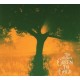 Antlers-Green To Gold