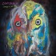 Dinosaur Jr-Sweep It Into Space