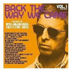 Noel Gallagher's High Flying Birds-Back The Way We Came Vol.1 2011-2021