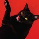 Ryan Adams-Big Colors