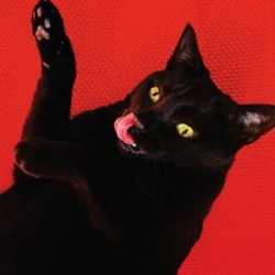 Ryan Adams-Big Colors