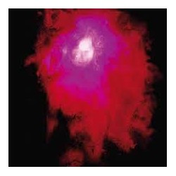 Porcupine Tree-Up The Downstair