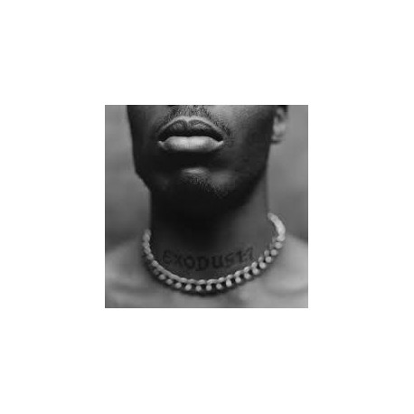 DMX-Exodus