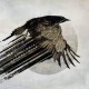 Katatonia-Mnemosynean