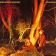 Echo And The Bunnymen-Crocodiles