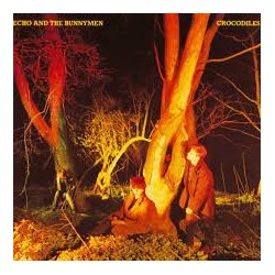 Echo And The Bunnymen-Crocodiles