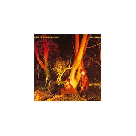 Echo And The Bunnymen-Crocodiles