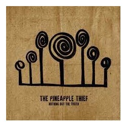 Pineapple Thief-Nothing But The Truth