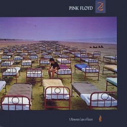 Pink Floyd-A Momentary Lapse Of Reason