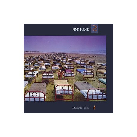 Pink Floyd-A Momentary Lapse Of Reason