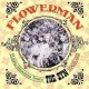Syn-Flowerman (Rare Blooms From The Syn 1965-69)