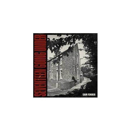 Sam Fender-Seventeen Going Under