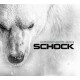 Eisbrecher-Schock