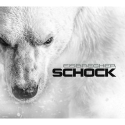 Eisbrecher-Schock