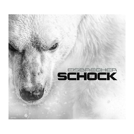 Eisbrecher-Schock