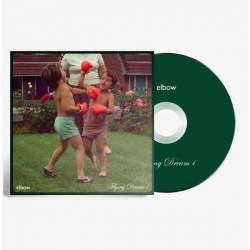 Elbow-Flying Dream 1