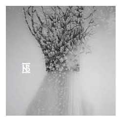 Negura Bunget-Zau