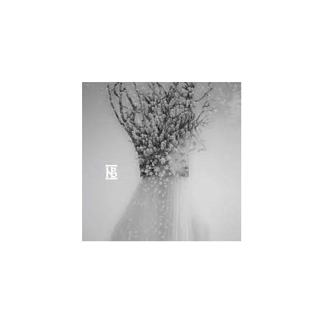 Negura Bunget-Zau