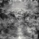 Neighbourhood-I Love You