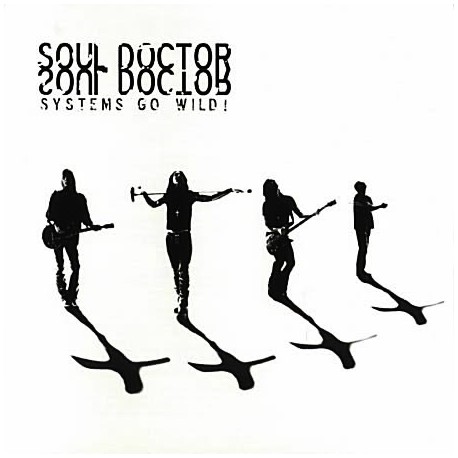Soul Doctor-Systems Go Wild !