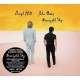 Daryl Hall John Oates-Marigold Sky