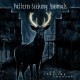Pattern-Seeking Animals-Only Passing Through