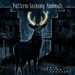 Pattern-Seeking Animals-Only Passing Through