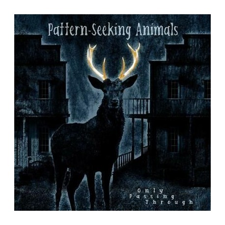 Pattern-Seeking Animals-Only Passing Through