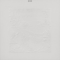 Bon Iver-Bon Iver, Bon Iver