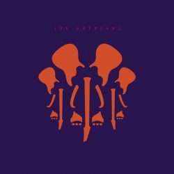 Joe Satriani-Elephants Of Mars