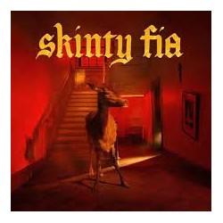 Fontaines D.C.-Skinty Fia