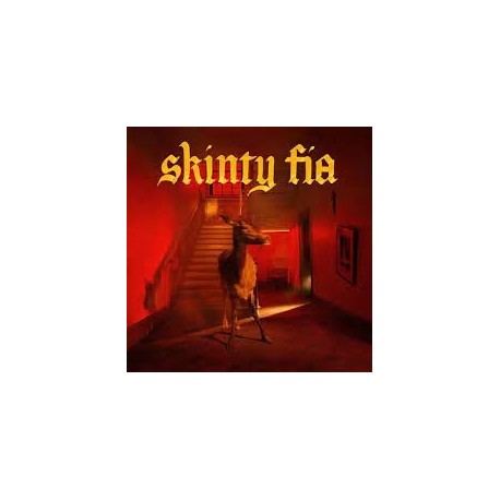 Fontaines D.C.-Skinty Fia