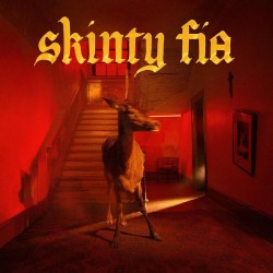 Fontaines D.C.-Skinty Fia