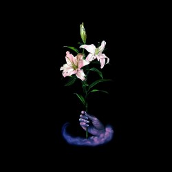 Dbuk-Songs One Through Eight