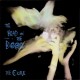 Cure-Head On The Door