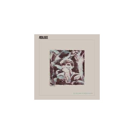 Midlake-For The Sake Of Bethel Woods